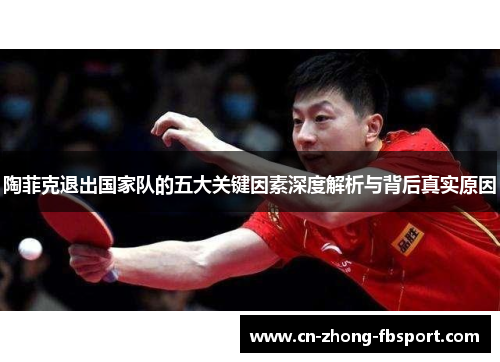 陶菲克退出国家队的五大关键因素深度解析与背后真实原因